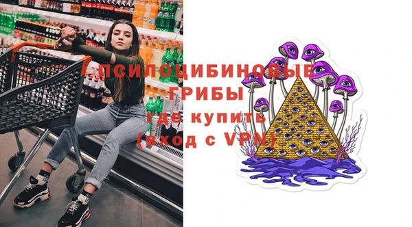 СК Алзамай