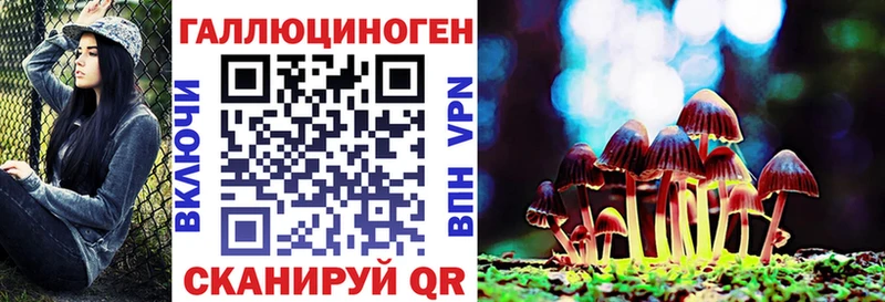 Галлюциногенные грибы Psilocybe  дарнет шоп  Волгодонск 