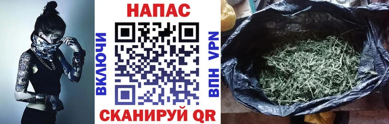 Шишки марихуана семена  Волгодонск 